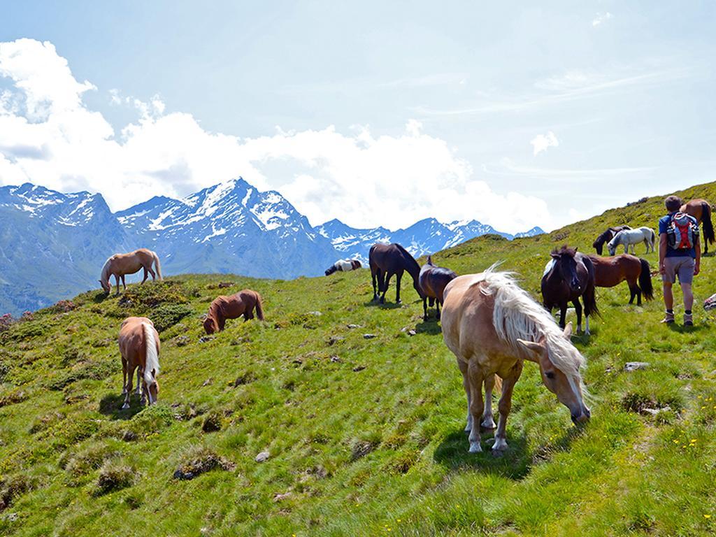 Alpengasthof Praxmar Sankt Sigmund im Sellrain Exteriér fotografie